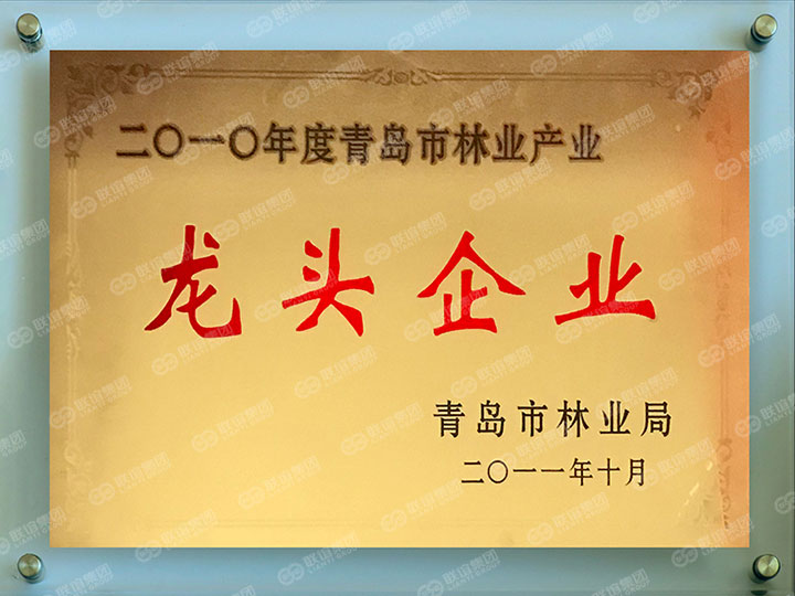 龙头企业.jpg